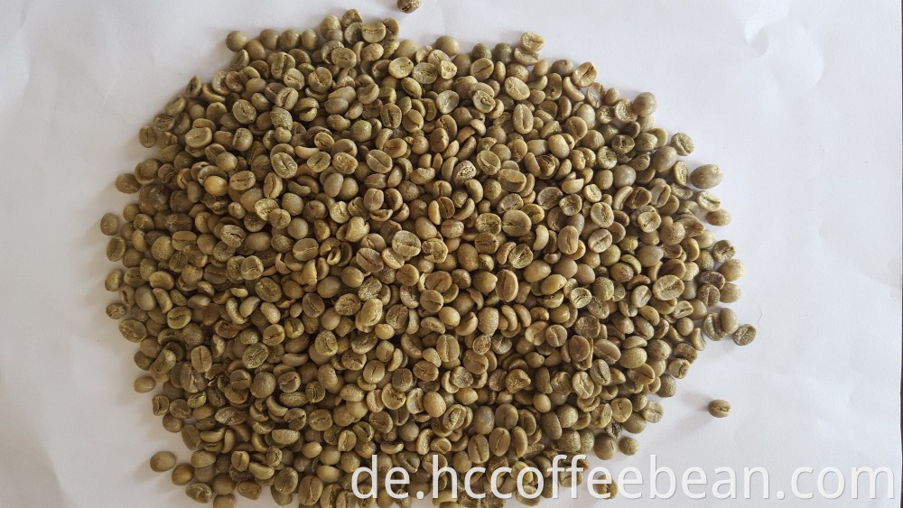 grüne Kaffeebohnen, vietnamesischer Herkunft, Aqabica-Typ, neue Ernte